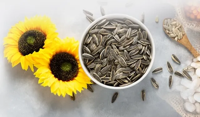 PAN-PA siyah çekirdek alımlarına başladı