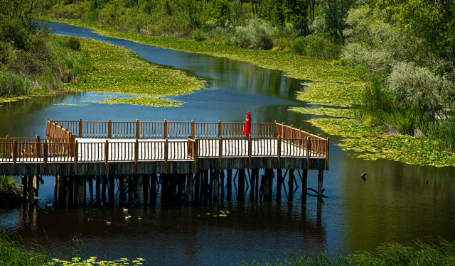 Sakarya 2026'da Kültür Yolu'na ev sahipliği yapacak