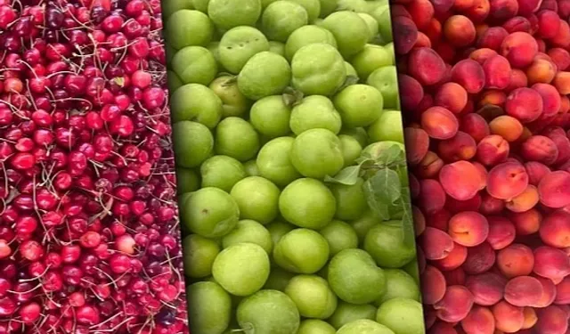 Tarım ÜFE aylık azaldı, yıllık arttı! En yüksek artış yumuşak ve sert çekirdekli meyvelerde