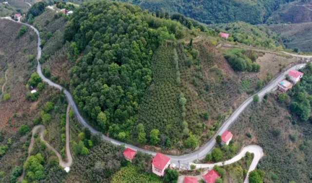 Ünye Pelitliyatak’ta mutlu son!