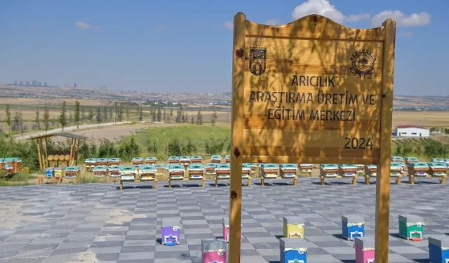 ABB'den arıcılık için dev proje