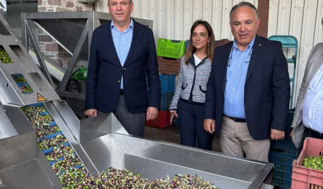 Ayvalık Ticaret Odası: Zeytinyağı ihracatında en büyük sorun markasızlık