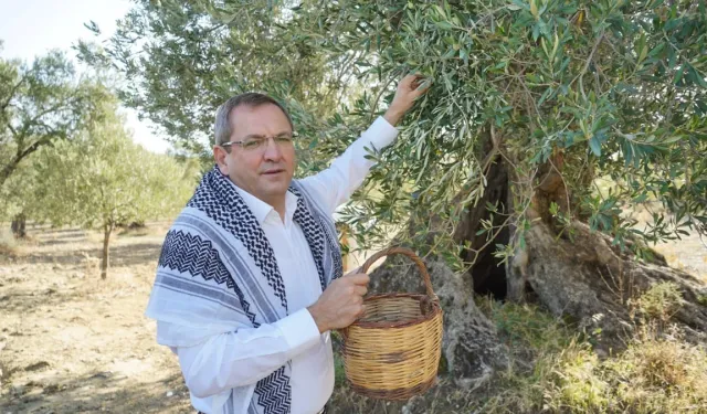 Ayvalık, zeytin ve zeytinyağının buluşma noktası olacak