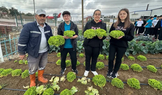 Bahçem Çayırova’da öğrencilerden kıvırcık ve roka hasadı