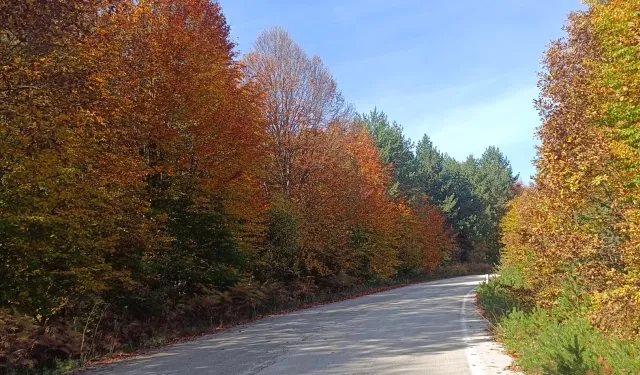 Bilecik Bozcaarmut’ta sonbahar büyüsü