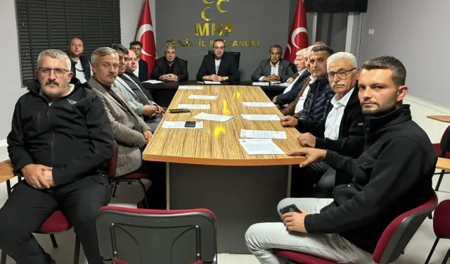 Bilecik'te MHP'liler sahaya iniyor