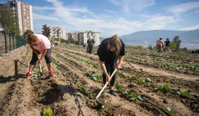 Bornova'da bostanlar kadınların emeğiyle yeşeriyor