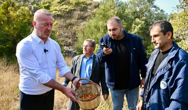 Bursa Karacabey 'Alıç Meyvesi'ni dünya pazarında tanıtacak!