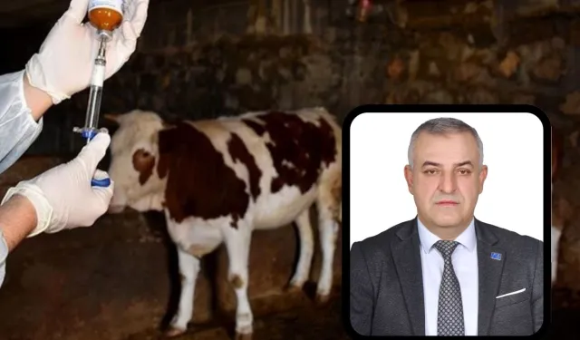 Bursa Mustafakemalpaşa’da şap alarmına A Parti açıklaması