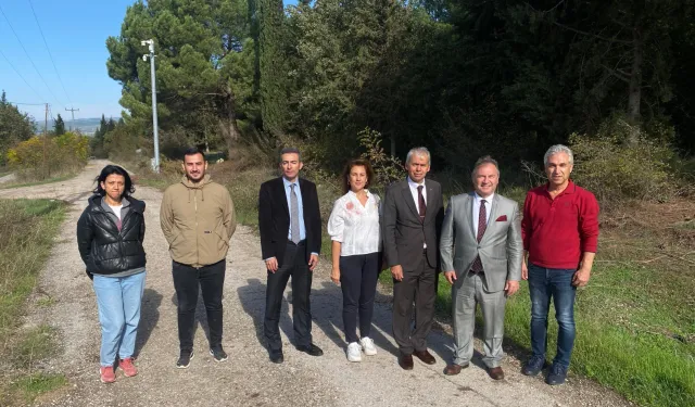 Bursa tarımına akademik bakış