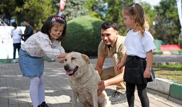 Bursa'da can dostlar Osmangazi korumasında