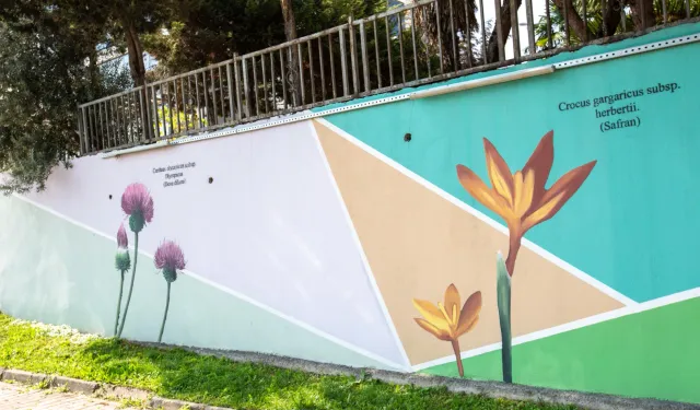 Bursa'nın hazineleri duvarlara işleniyor