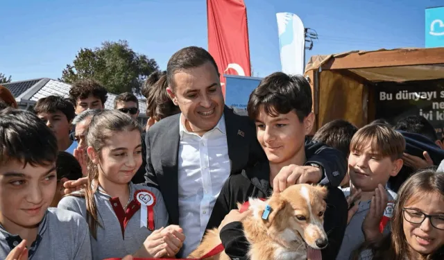 Can dostlara modern yaşam alanı