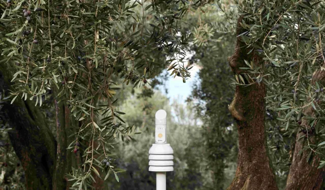 Cargill’in 1000 Çiftçi 1000 Bereket programı 7'nci yılında