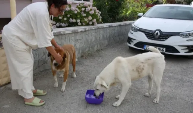 Edirne'de 200 bin TL borçla boğuşan KEHAY-KO’dan yardım çağrısı