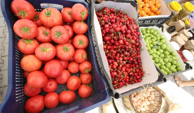Efes Tarlası Yaşam Köyü’nde Üretici Pazarı 19 Ekim'de kapılarını açıyor