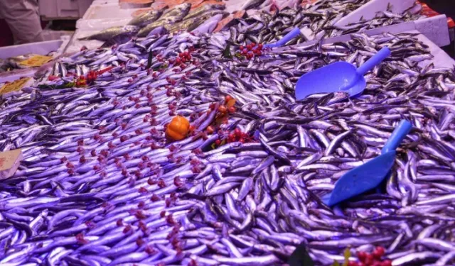 Eskişehir’de balık satış yerlerine ortak denetim