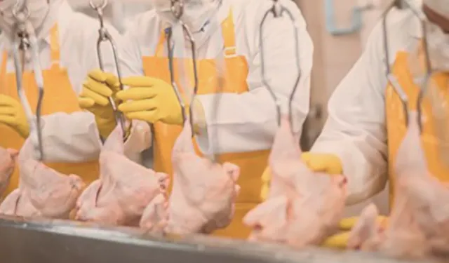 Filipinler’e kanatlı eti ve su ürünleri yolu açıldı