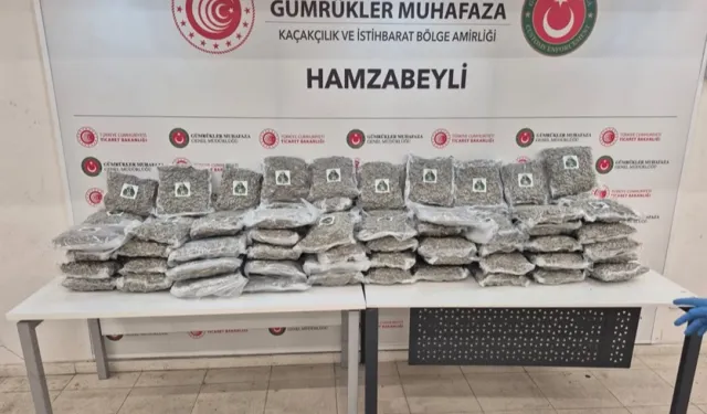 Gümrükler Muhafaza'dan çifte uyuşturucu operasyonu!