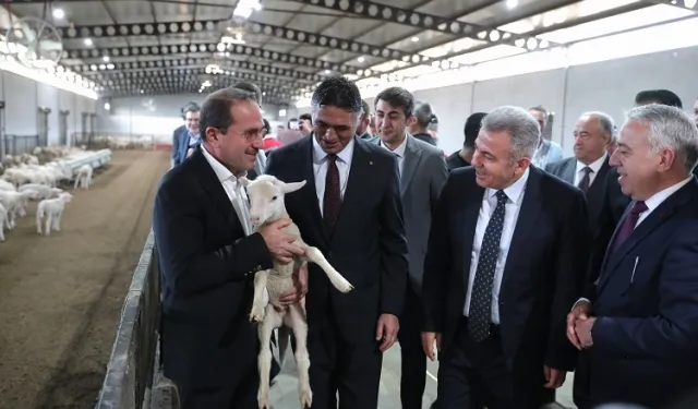 İzmir Aliağa tarımsal kalkınmada örnek oluyor