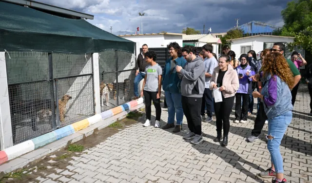 İzmir Bornova’da can dostlar için el ele
