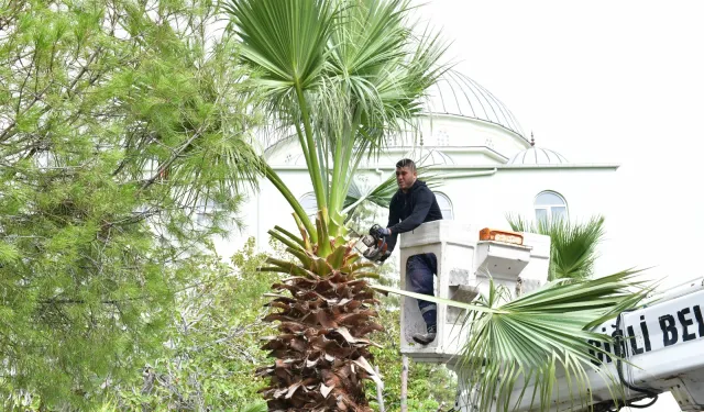 İzmir Çiğli’de sonbahar bakımı