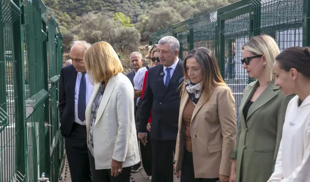 İzmir Güzelbahçe'de can dostlara yaşam merkezi