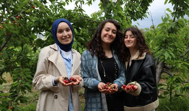 İzmir'de gençleri tarım sektörüne kazandıracak projede üçüncü buluşma