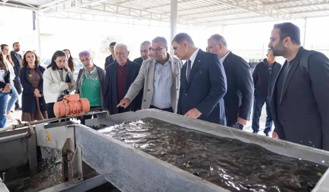 İzmir'de sezonun ilk zeytinyağı Başkan Tugay’dan