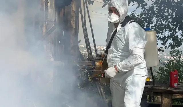 Kahverengi kokarca mücadelesinde 1 milyon haneye ilaçlama