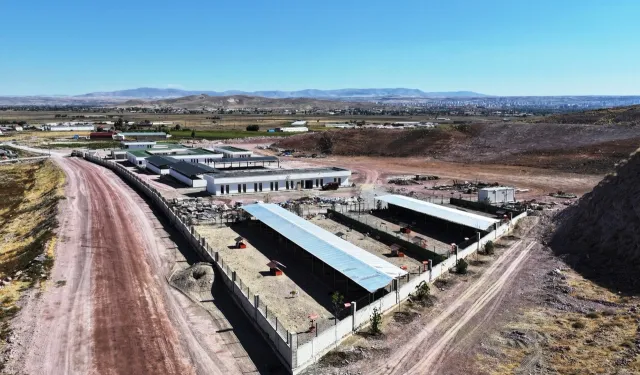 Kayseri Kocasinan'ın can dostlar merkezi örnek olacak