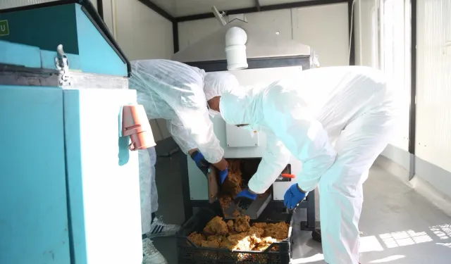 Kayseri Melikgazi yemek atıklarını can dostlarına mama yapıyor