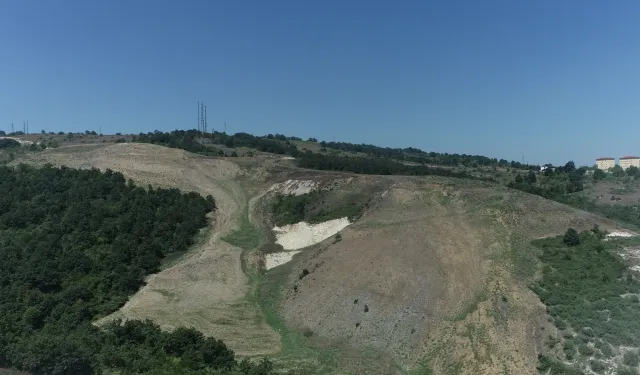 Kocaeli'de Kandıra Akçakese’ye 4 bin 500 ağaçlık doğal orman