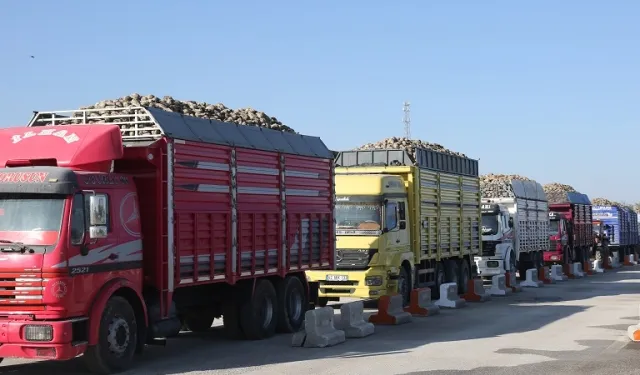 Konya Şeker'den üreticiye çifte avans
