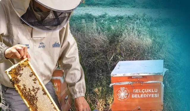 Konya Selçuklu’da arıcılığa güçlü destek