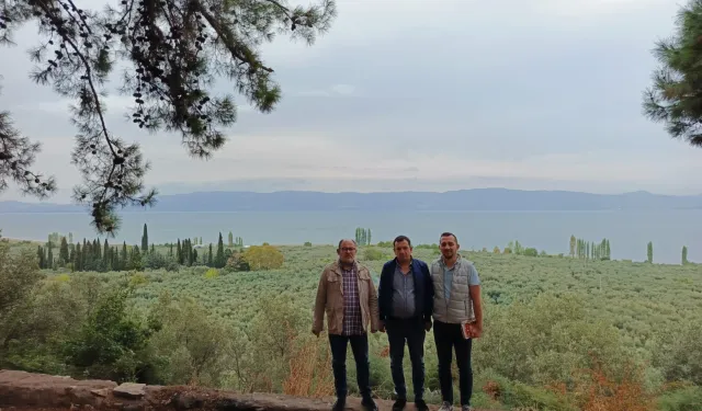 Marmarabirlik’ten 'anıt zeytin ağaçları'na özel marka vizyonu