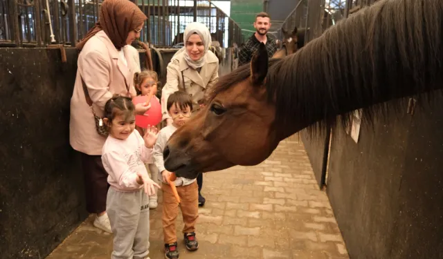 Minikler, Kocaeli'de atlarla buluştu
