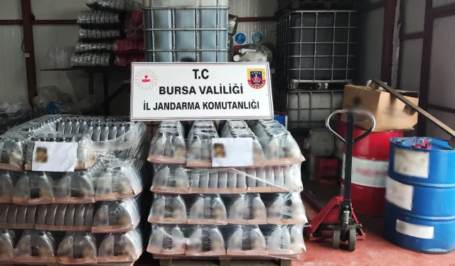 Mudanya’da Jandarma'dan kaçak motor yağı operasyonu