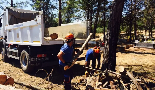 Muğla'da aileleri de ısıtan mezarlıklara bakım