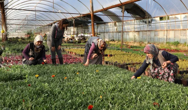 Muğla’da kadın emeğiyle gelecek inşa ediliyor