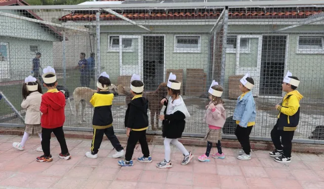 Muğlalı minik yüreklerden can dostlara ziyaret