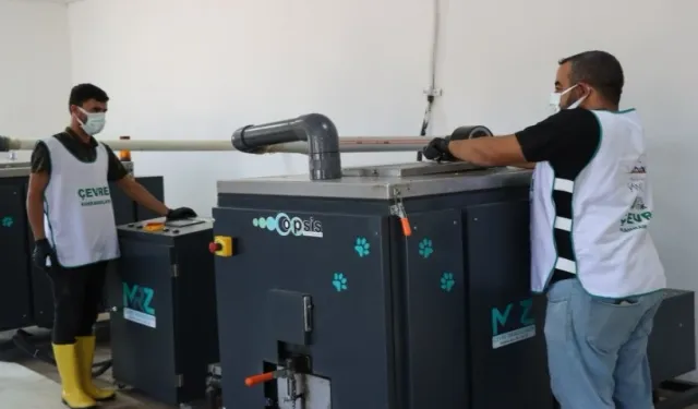 Organik atıklar can dostlara umut oluyor