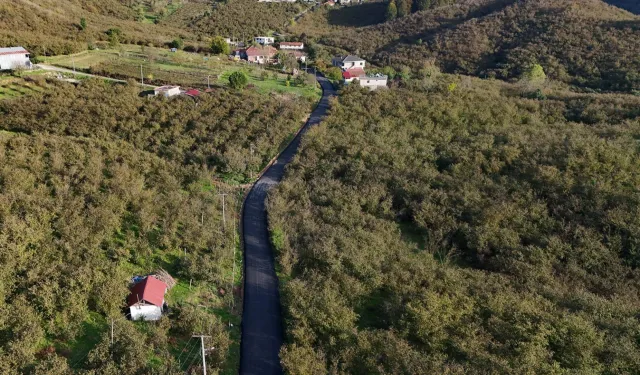 Sakarya Büyükşehir’den yeşilin tam ortasına dokunuş
