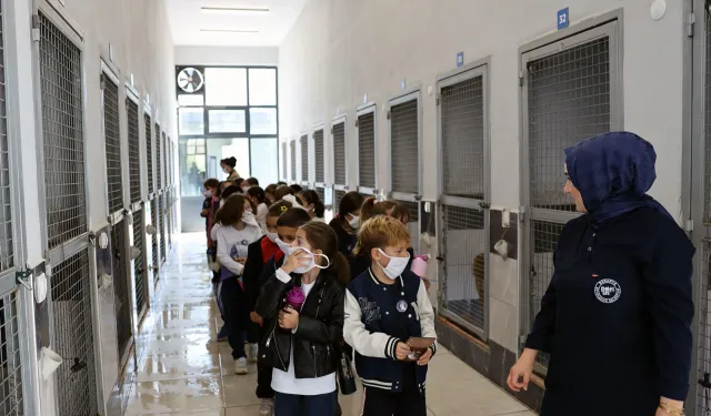 Sakarya'da can dostların yeni dünyasına hayran kaldılar