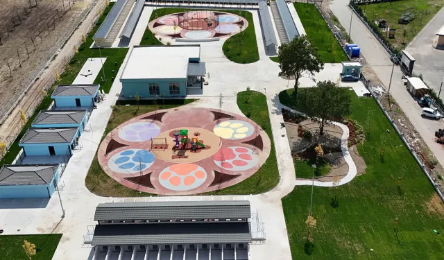 Sakarya’da sokak hayvanlarına güvenli yuva