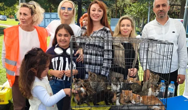 “Satın Alma, Sahiplen” etkinliğinde can dostlara yeni yuvalar