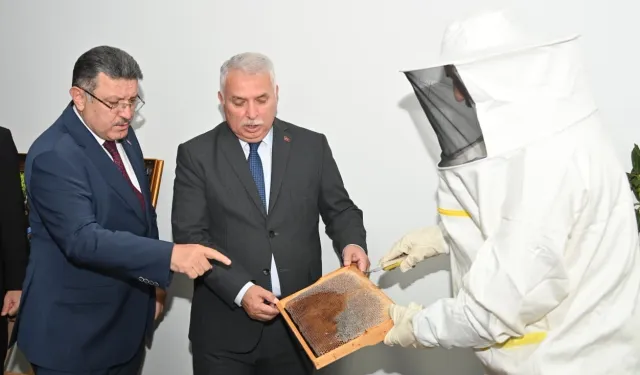 Trabzon’da bal için birlik zamanı