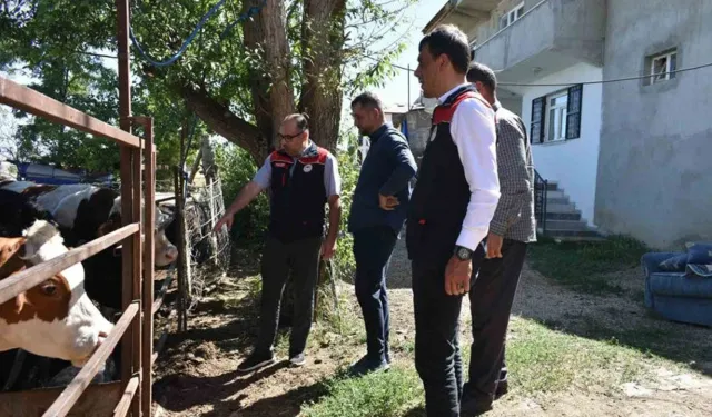 Bayburt'ta Kırsalda Bereket Projesi incelemeleri