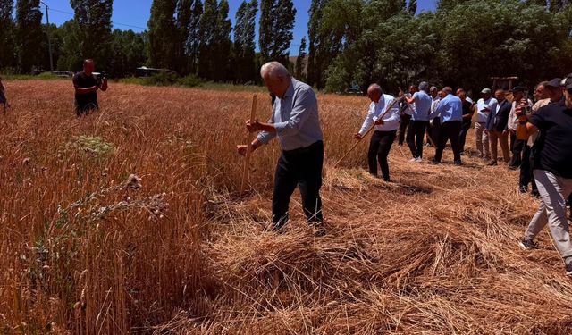Son Başbakan Binali Yıldırım, Harman Şenliği’ne katıldı.
