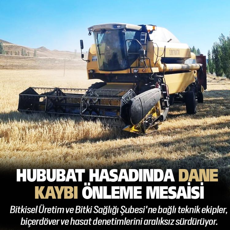 Bayburt'ta Hububat hasadında dane kaybı önleme mesaisi